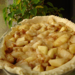 placinta